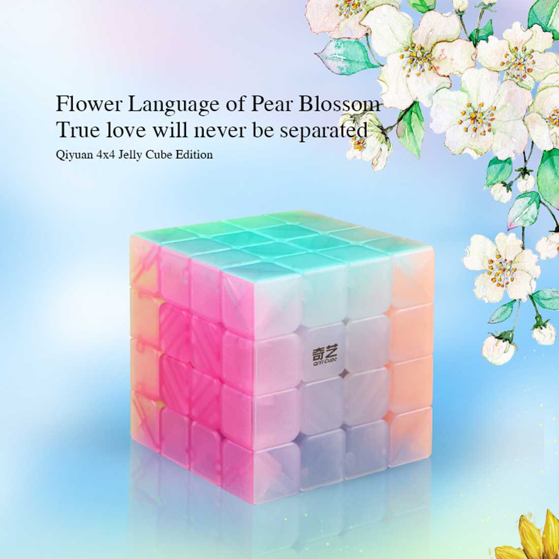 QiYi QiYuan S Jelly 4x4-xinru shop