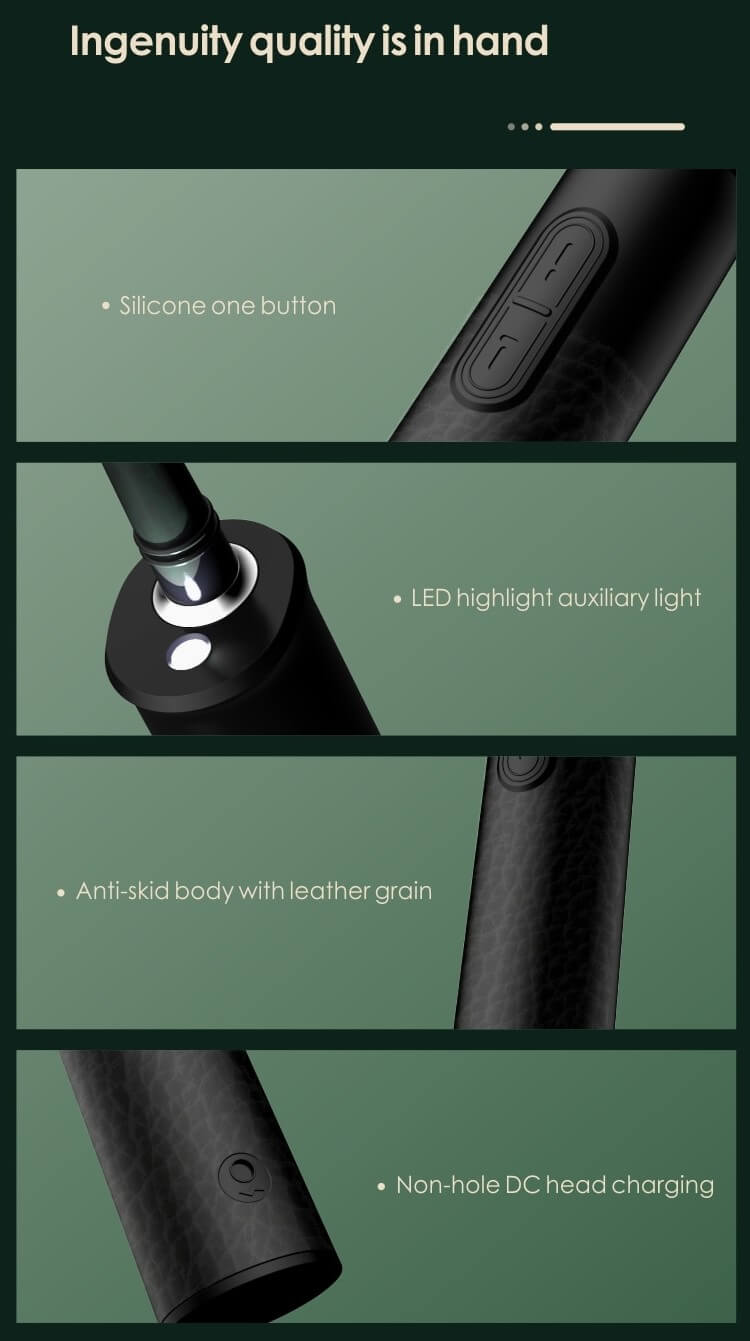 Dental Calculus Plaque Remover
