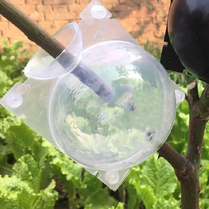 Reusable Air Layering Propagation Balls-xinru
