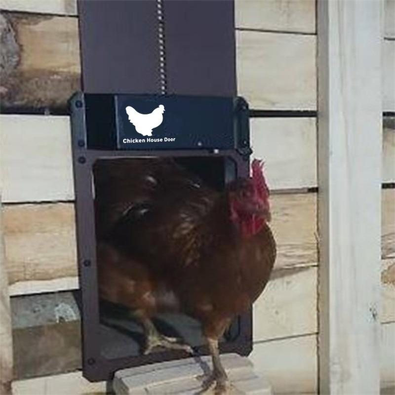 Solar Light Sensor Automatic Chicken Coop Door-xinru
