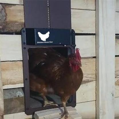 Solar Light Sensor Automatic Chicken Coop Door-xinru