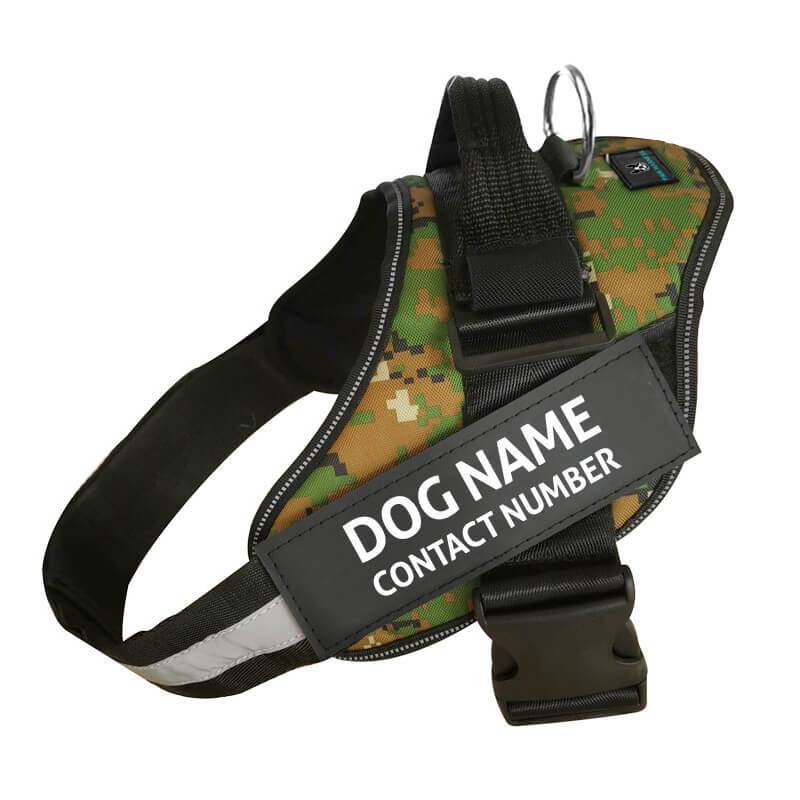 No Pull Custom Name Tag Dog Harness-xinru