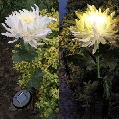 2 Pack Solar Chrysanthemum Garden Light-xinru shop