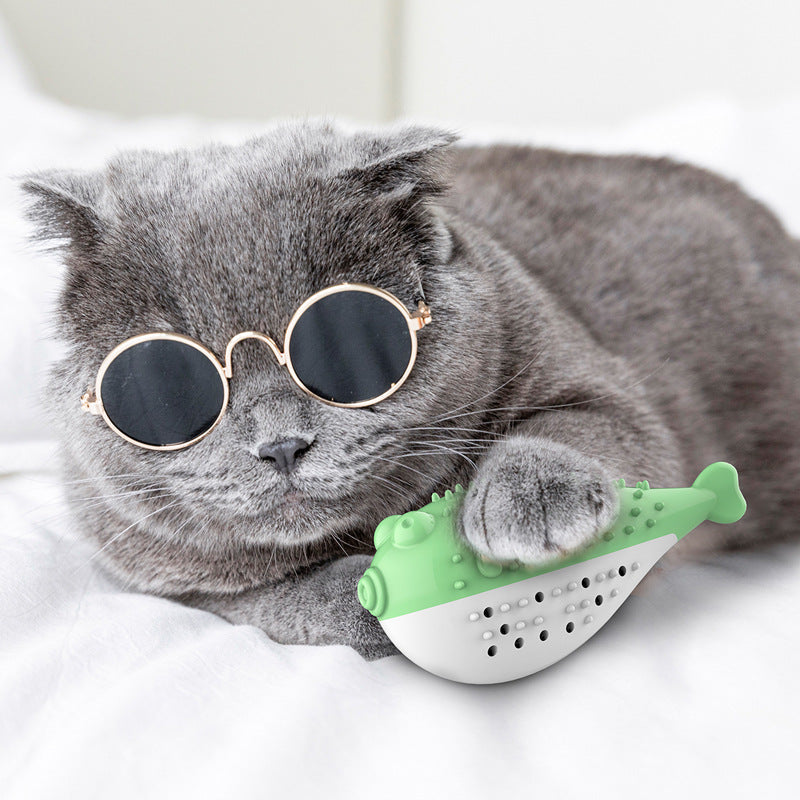 Puffer Fish Toothbrush With Sound Cats Toys-xinru