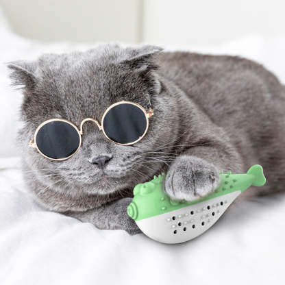 Puffer Fish Toothbrush With Sound Cats Toys-xinru