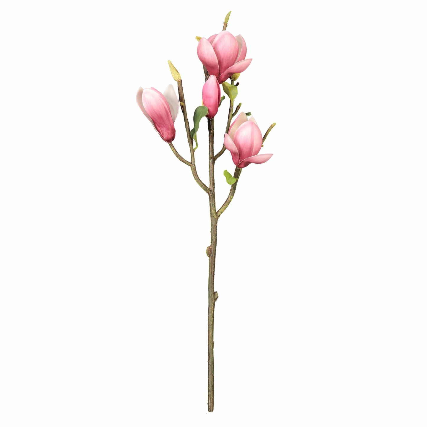 Fuschia Magnolia Tulip 20"-xinru shop