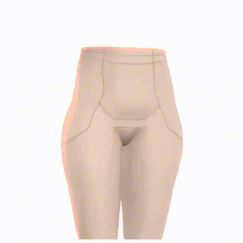 Women High Waist Shaper Shorts