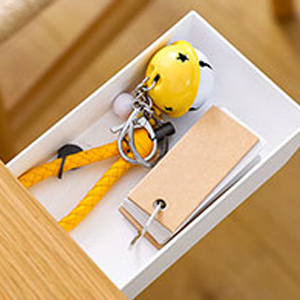 hidden organizer drawer