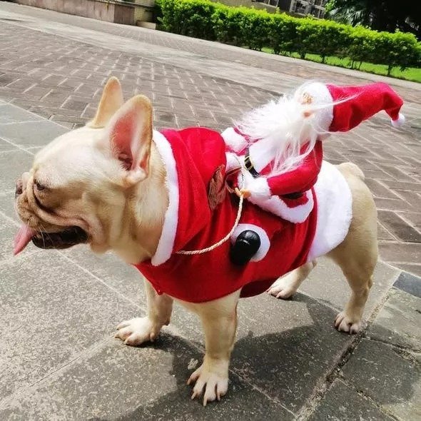 Christmas Pet Clothes-Santa Claus Riding Pet Cosplay Costumes-xinru shop