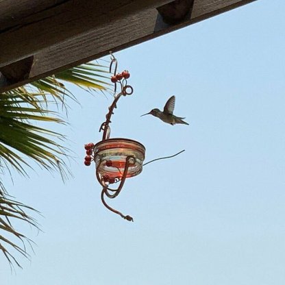 Early Spring Red Berries Hummingbird Feeder-xinru