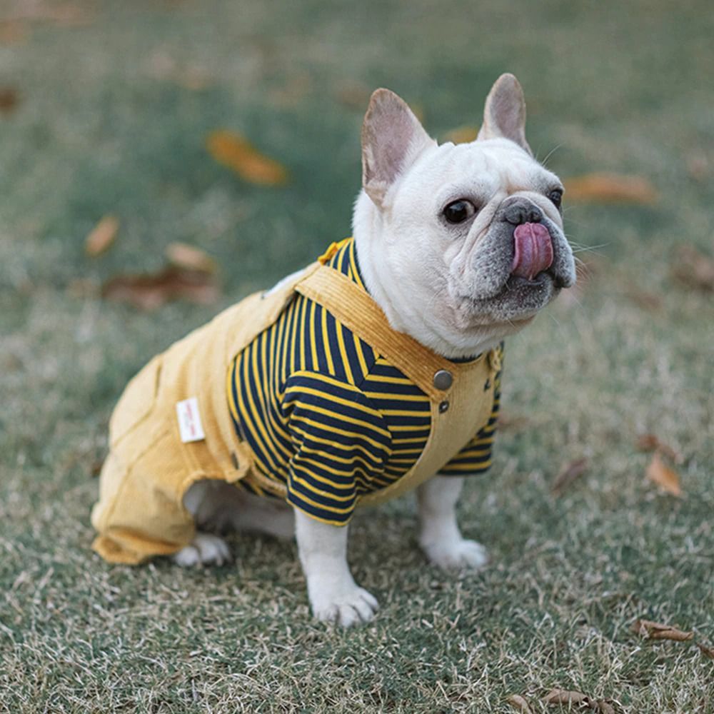 Dog Jumpsuits with Striped | Jumpsuits for Small and Medium Dog | Warm Clothing for Dog-xinru