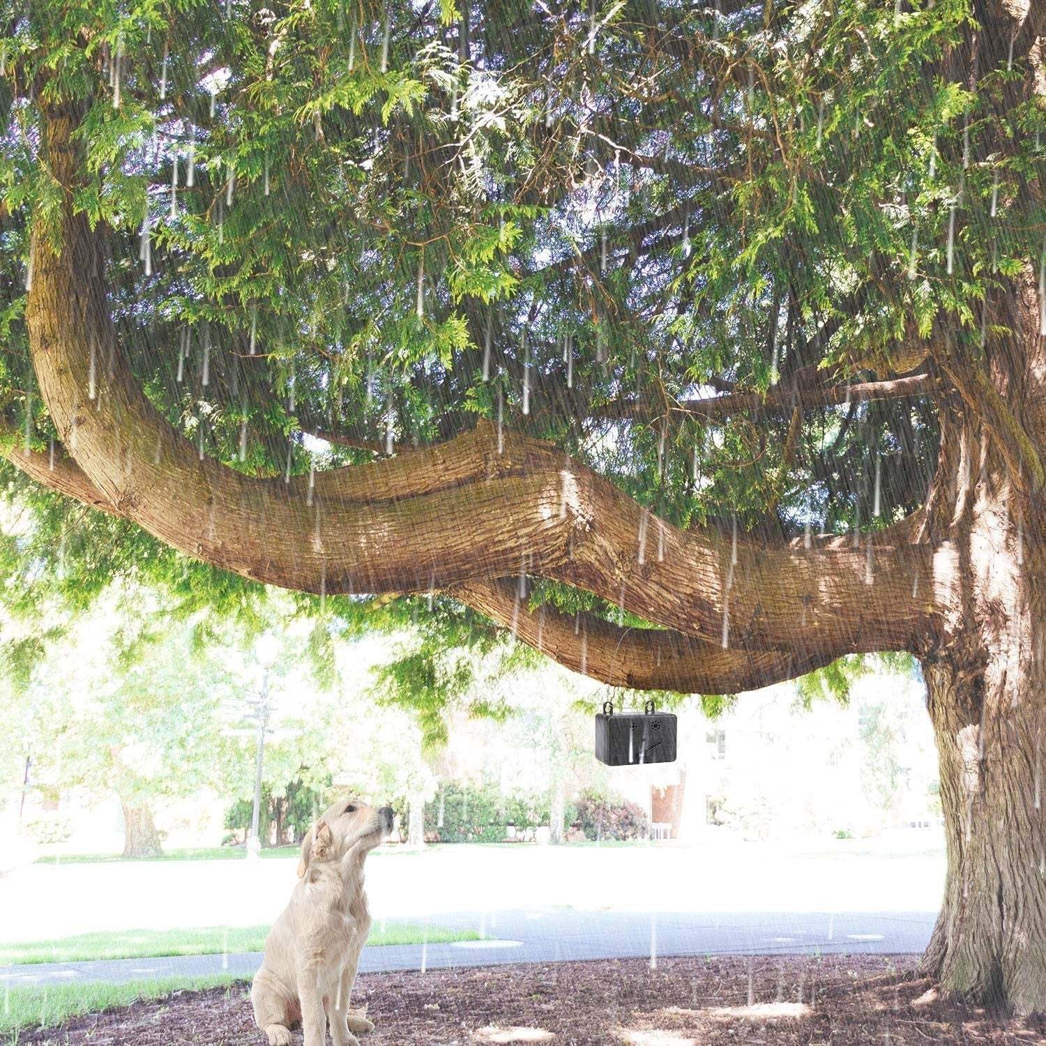 Mini Ultrasonic Anti Barking Device For Dogs-xinru