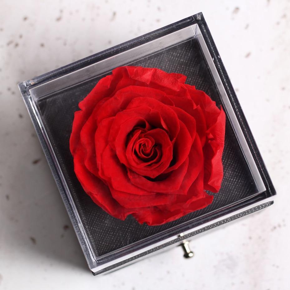 Immortal Preserved Rose Teddy Bear Box Display-xinru