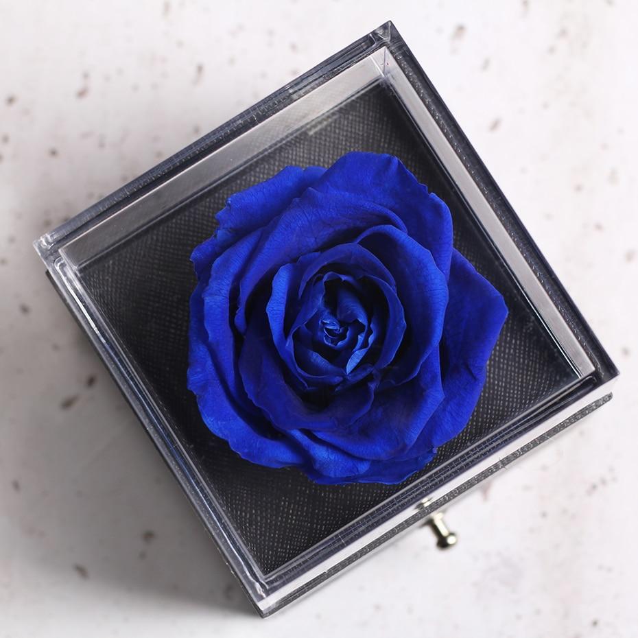 Immortal Preserved Rose Teddy Bear Box Display-xinru