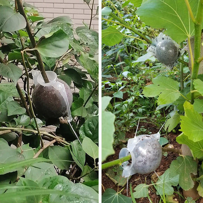 Reusable Air Layering Propagation Balls-xinru