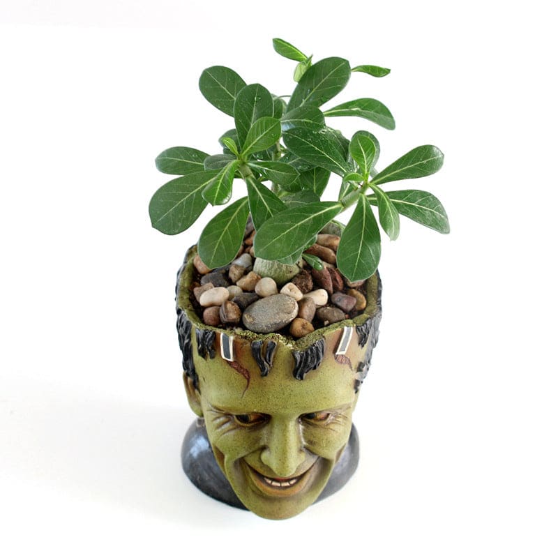 Resin Frankenstein Flower Pot Table Decorations-xinru