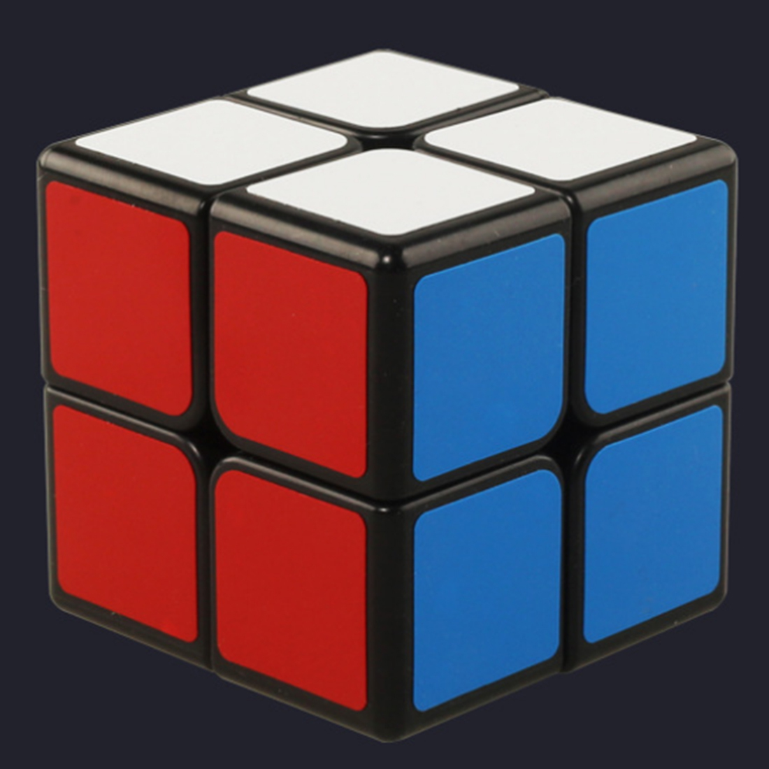 ShengShou Legend 2x2-xinru shop