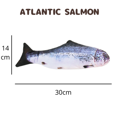 Simulation Electric Floppy Fish Interactive Pets Toy-xinru