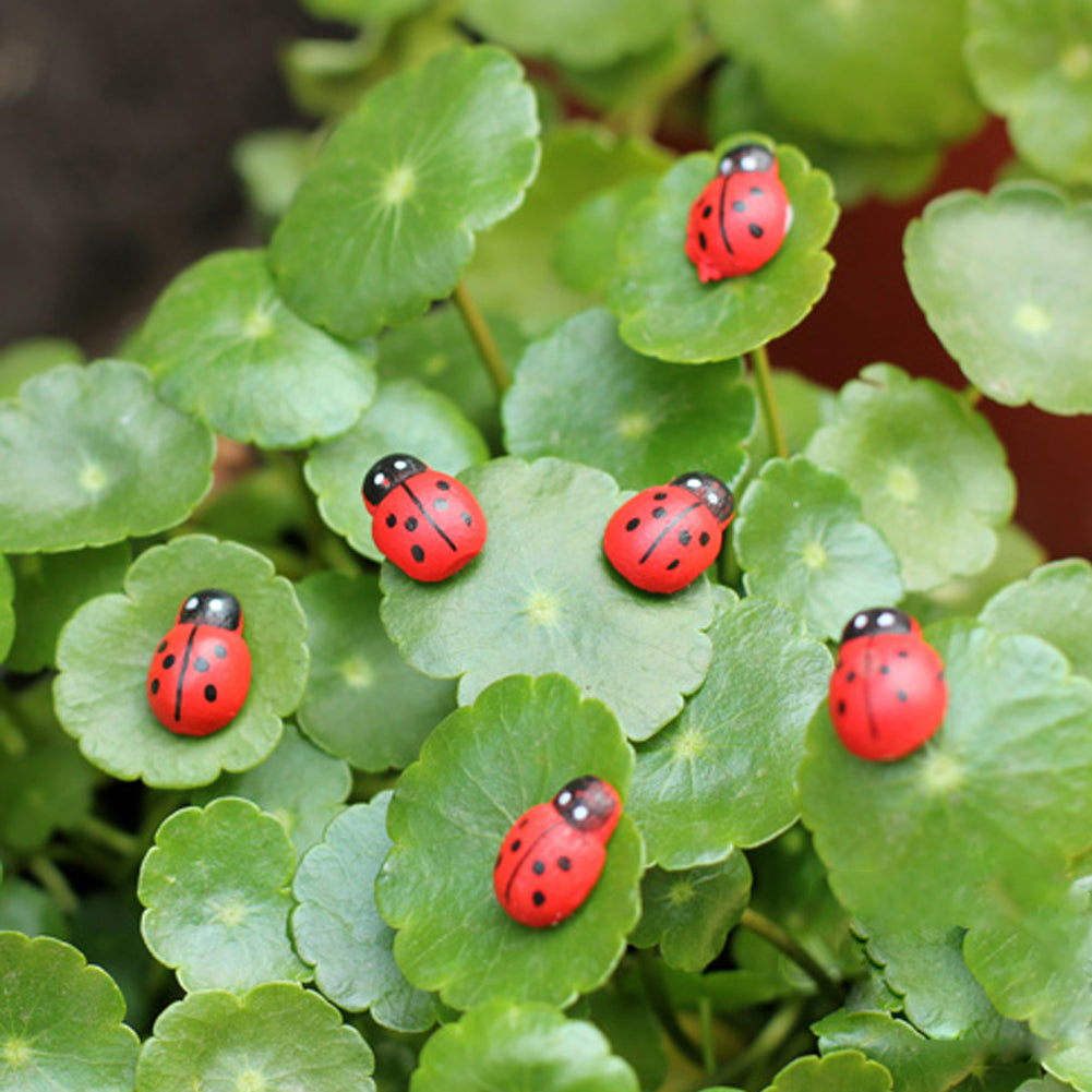 Mini Ladybird Red Beetle Ladybug Fairy Doll House Garden Decor Ornament-xinru
