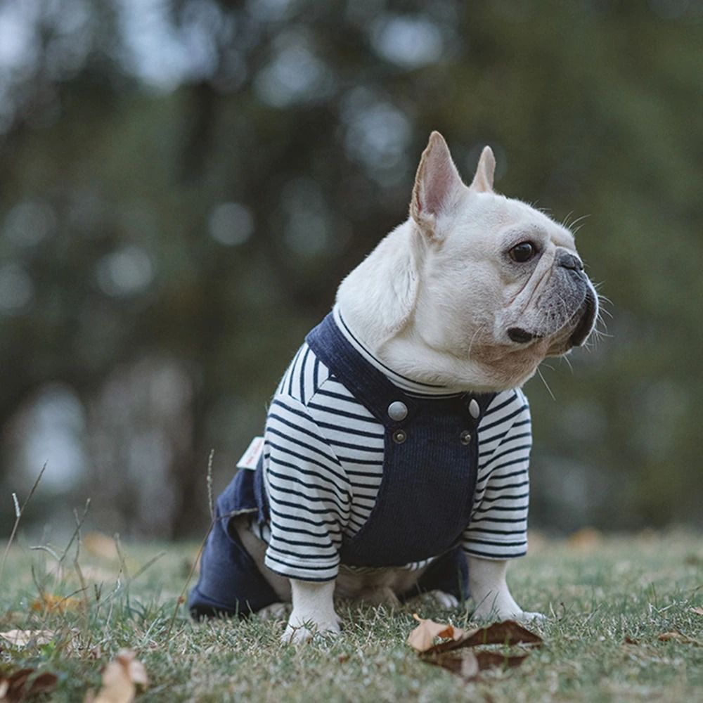 Dog Jumpsuits with Striped | Jumpsuits for Small and Medium Dog | Warm Clothing for Dog-xinru