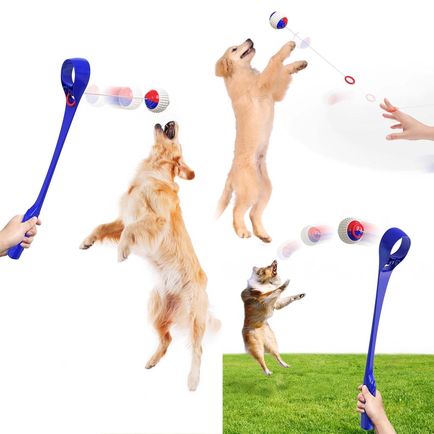 Multifunctional Dog Ball Launcher Set-xinru