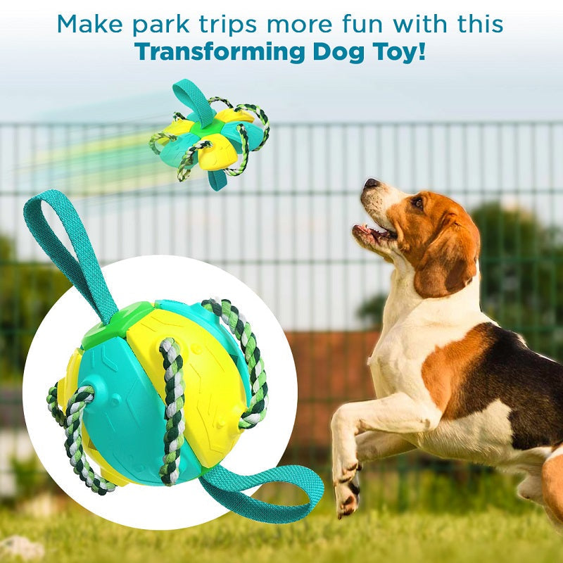 Dog Frisbee Ball Training Toy-xinru