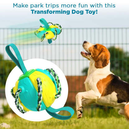 Dog Frisbee Ball Training Toy-xinru