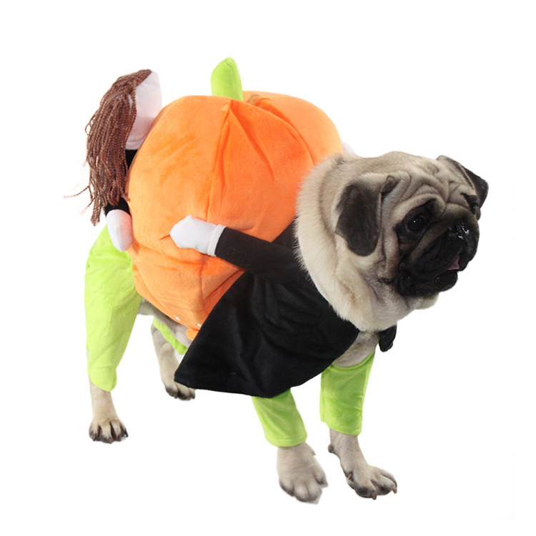 Dog Pumpkin Halloween Costume-xinru