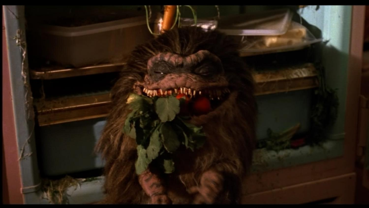 Gnome Doll Small Animal Props Cute Plush Decorations-xinru