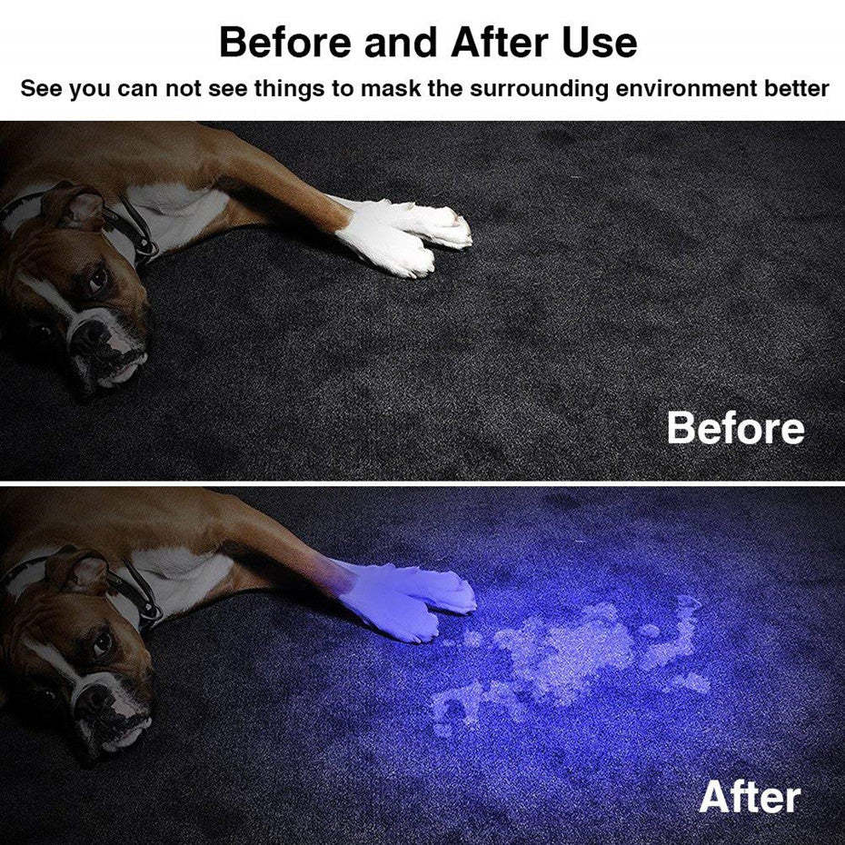 LED UV Flashlight Ultraviolet Torch With Zoom Function-xinru