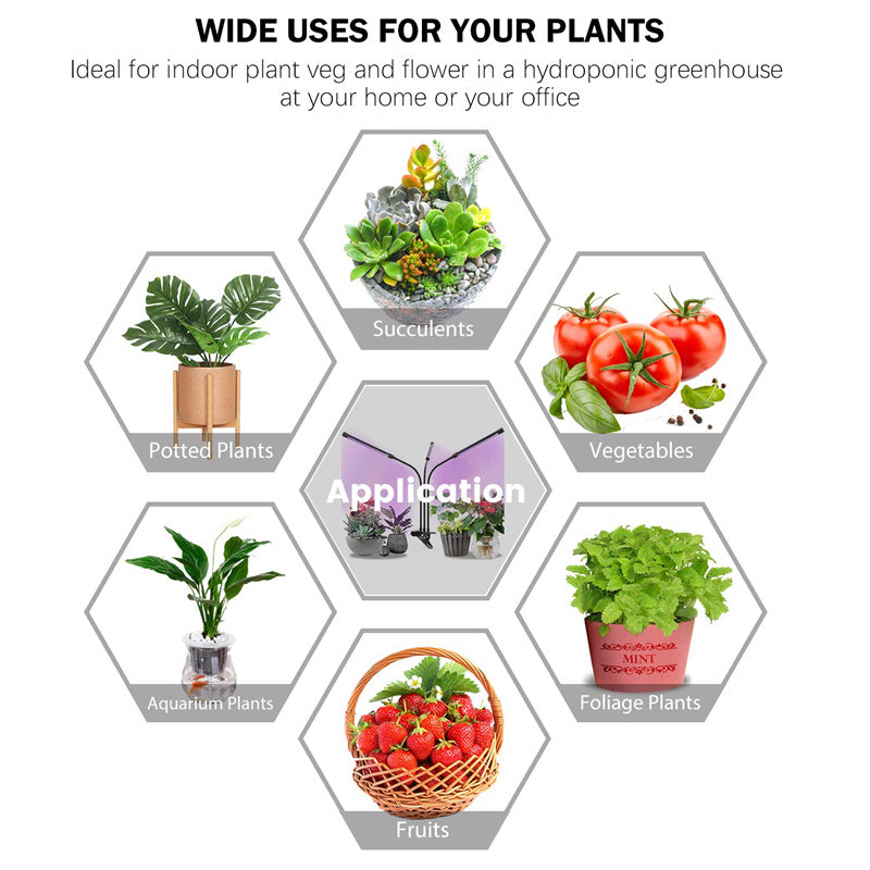 Auto ON And Off Timer LED Plant Grow Light For Indoor Plant-xinru