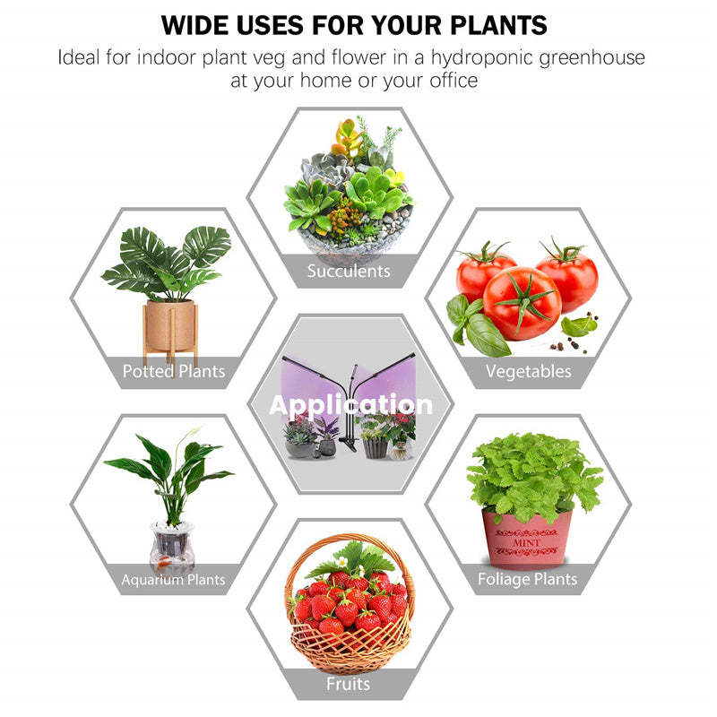 Auto ON And Off Timer LED Plant Grow Light For Indoor Plant-xinru