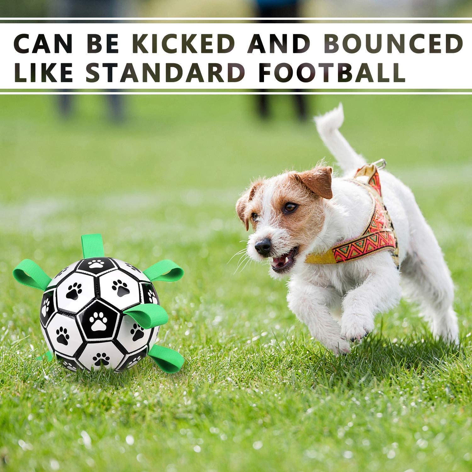 Dog Soccer Ball Unique And Fun Dog Tug Toy-xinru