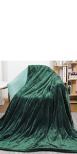 Heated Blanket Electric Throw Blanket