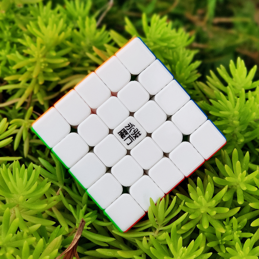 YJ ZhiLong Mini 5x5 M-xinru shop