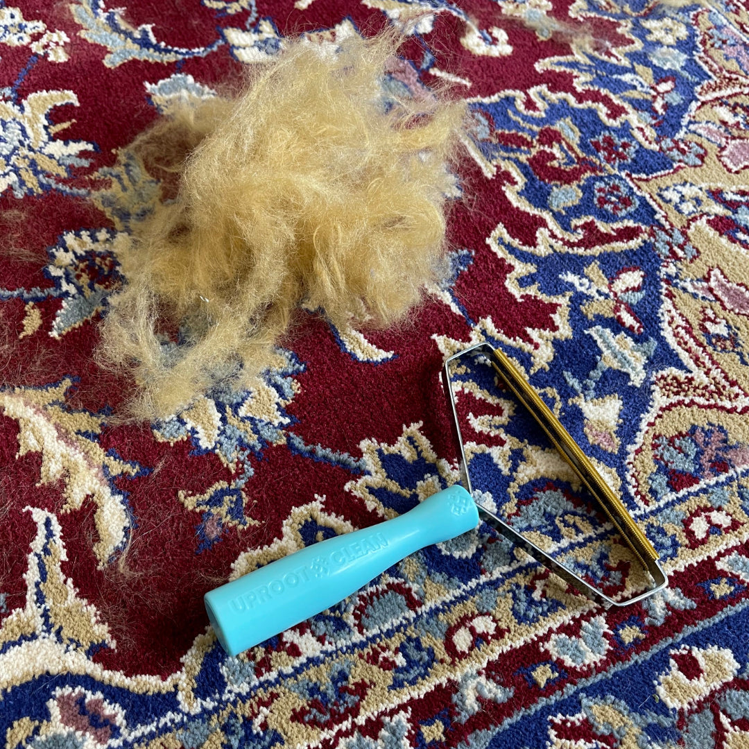 Sofa Carpet Pet Hair Cleaner-xinru shop