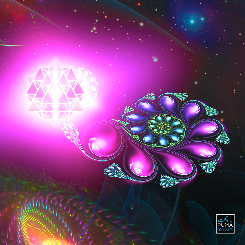 Dimitri the Frog Trippy Psychedelic Tapestry Wall Hanging-xinru shop