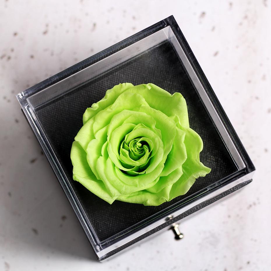 Immortal Preserved Rose Teddy Bear Box Display-xinru