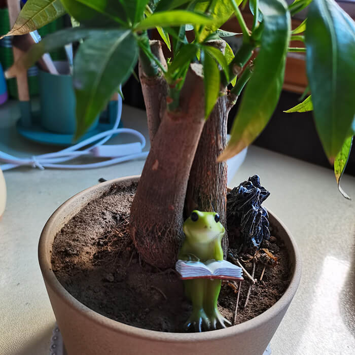 Cute Rural Cartoon Frog Resin Figurine Garden Ornament-xinru