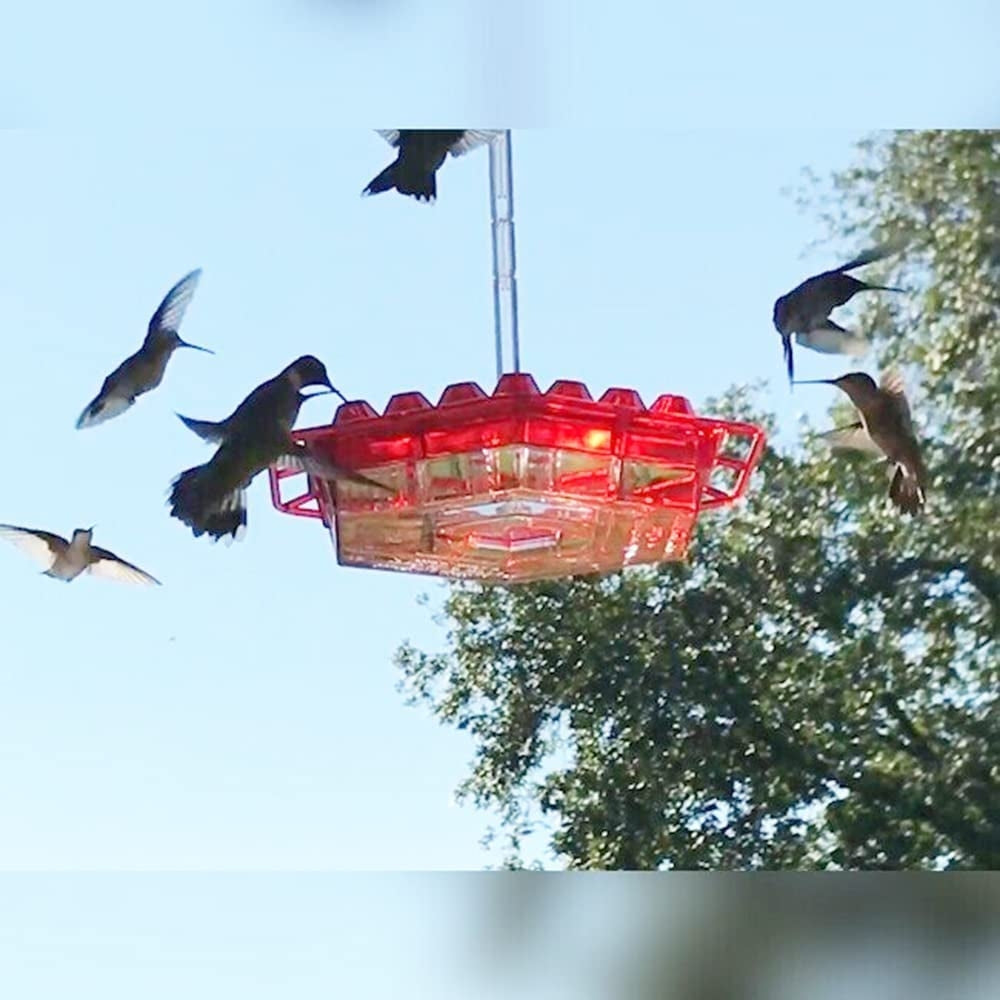 Hummingbird Feeder Outdoor Hanging Six Sides Hooked Bird Feeder-xinru