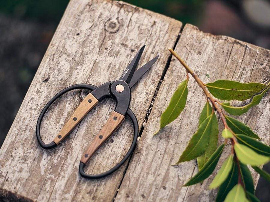 Barebones Living Walnut Garden Scissors-xinru shop