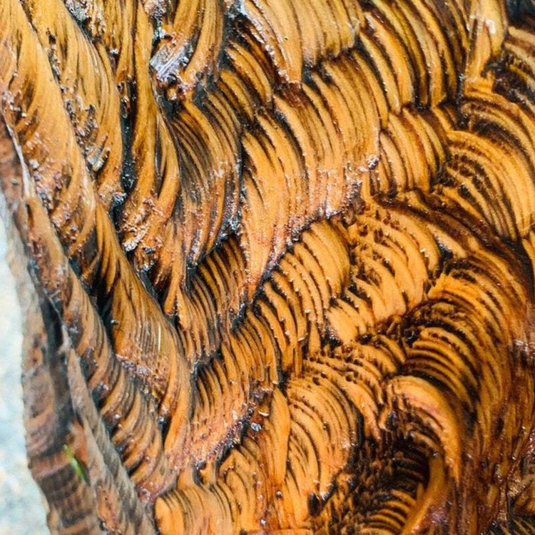 Cedar Carved Bear Chainsaw Carving with Solar Lantern-xinru