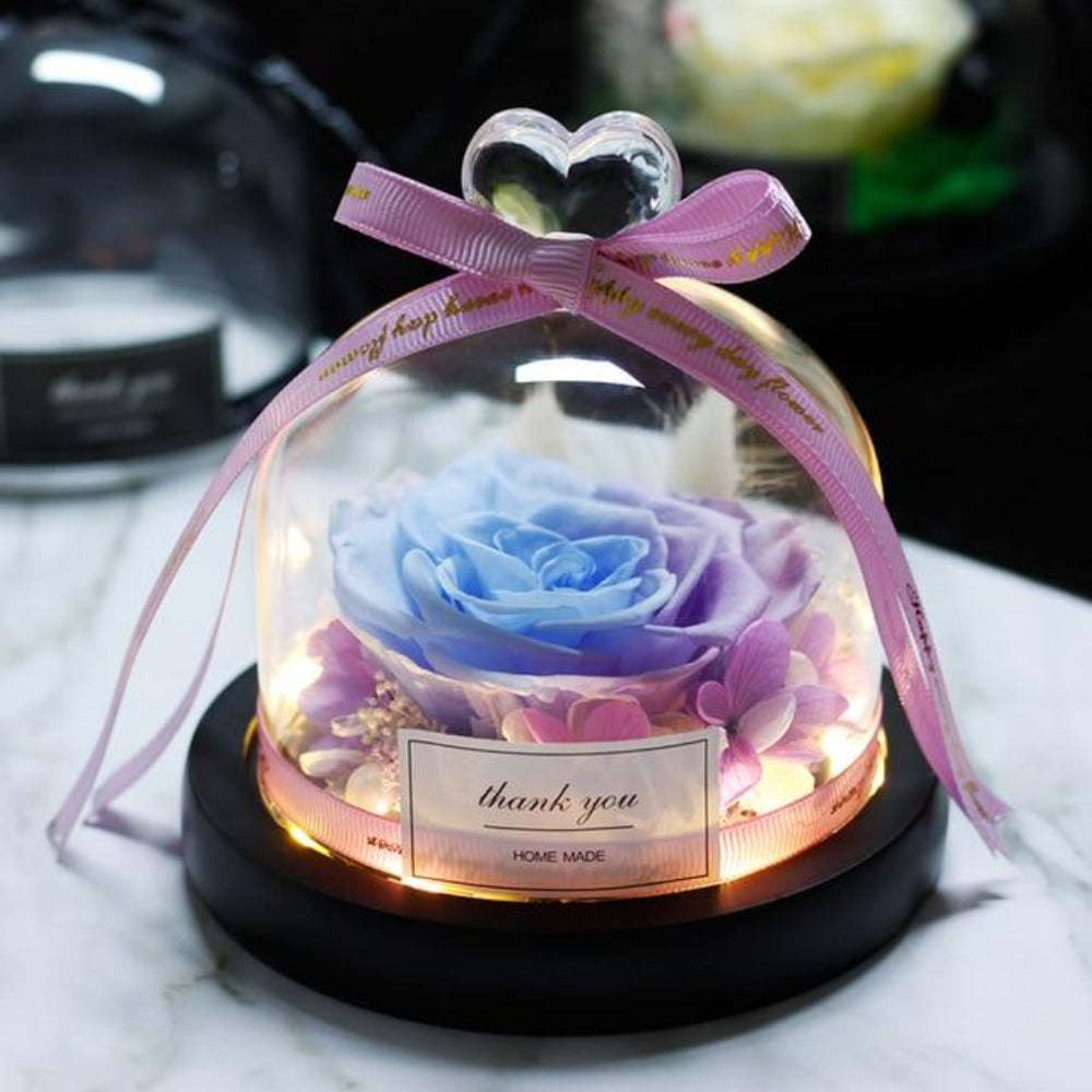 Mother's Day Gift Immortal Enchanted Rose Glass Heart Dome-xinru
