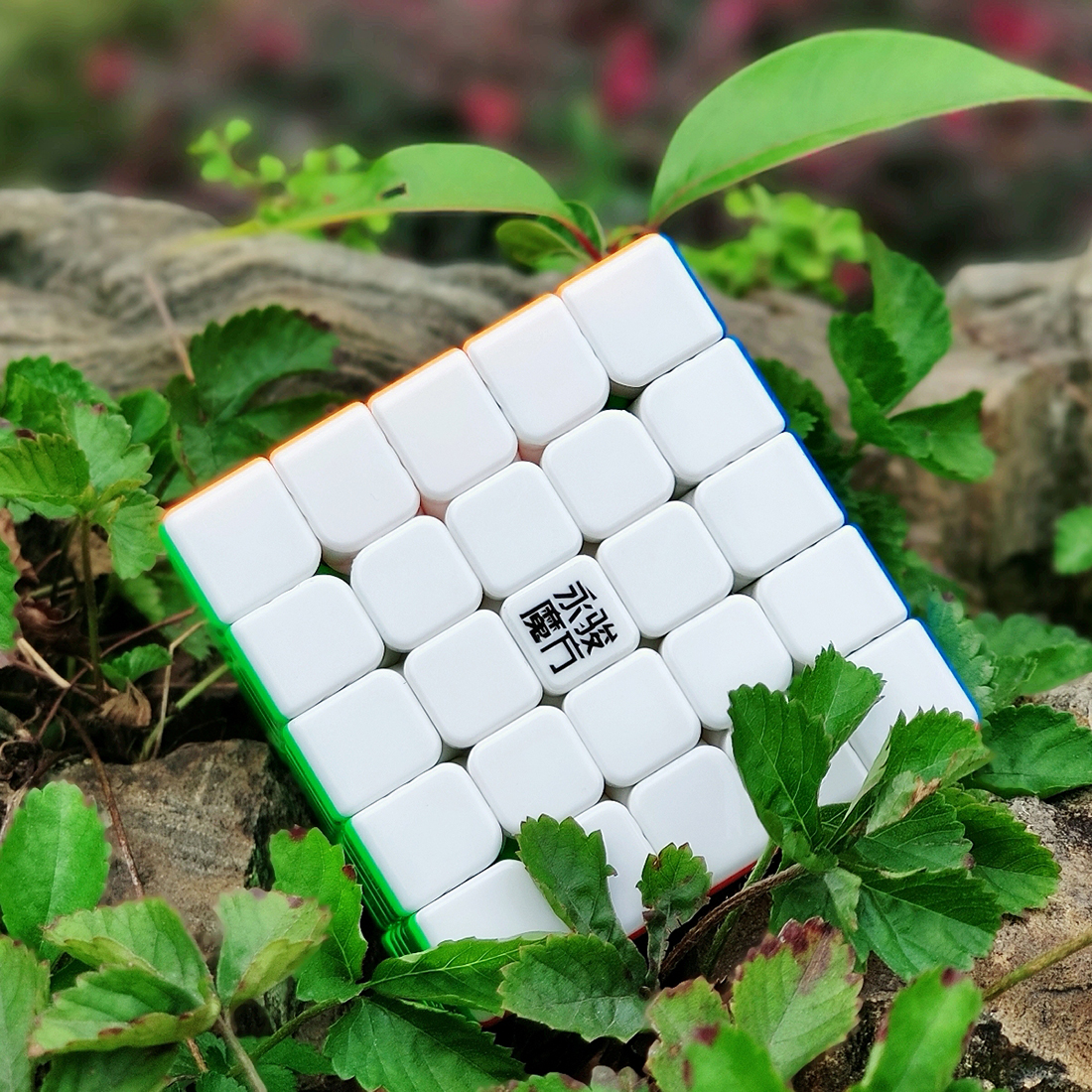 YJ ZhiLong Mini 5x5 M-xinru shop