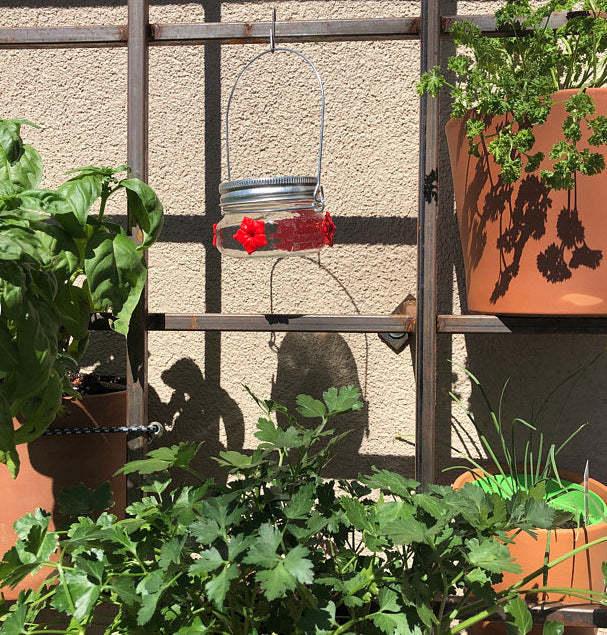 Clear Mason Jar Hummingbird Feeder with Three Ports-xinru