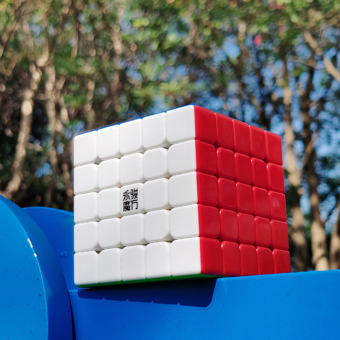 YJ ZhiLong Mini 5x5 M-xinru shop