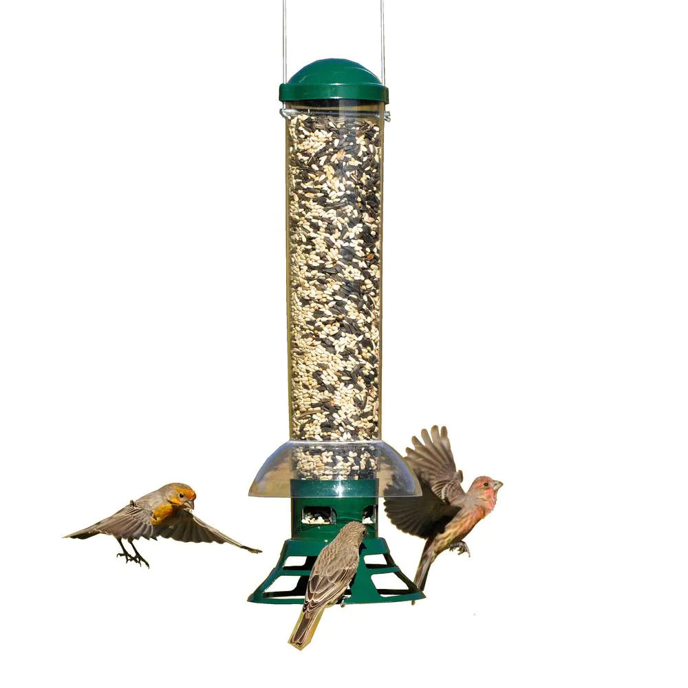 Squirrel Proof Bird Feeder - 3.5 lb. Capacity-xinru shop
