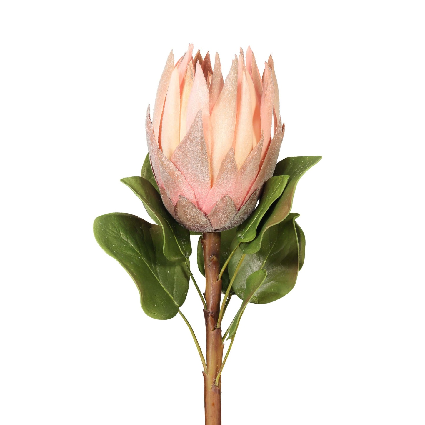 Artificial Pink King Protea 23.5"-xinru shop