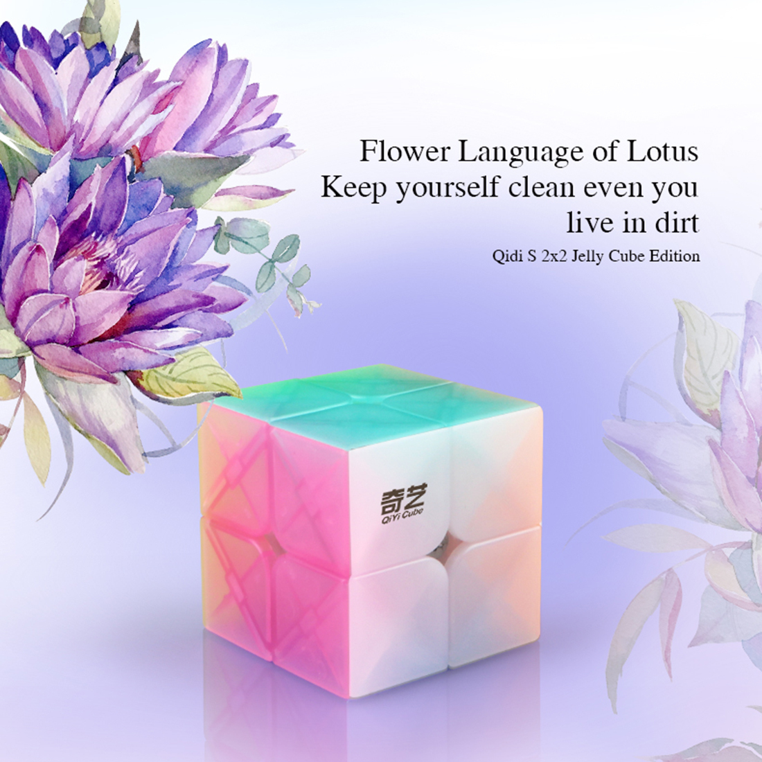 QiYi QiDi S Jelly 2x2-xinru shop