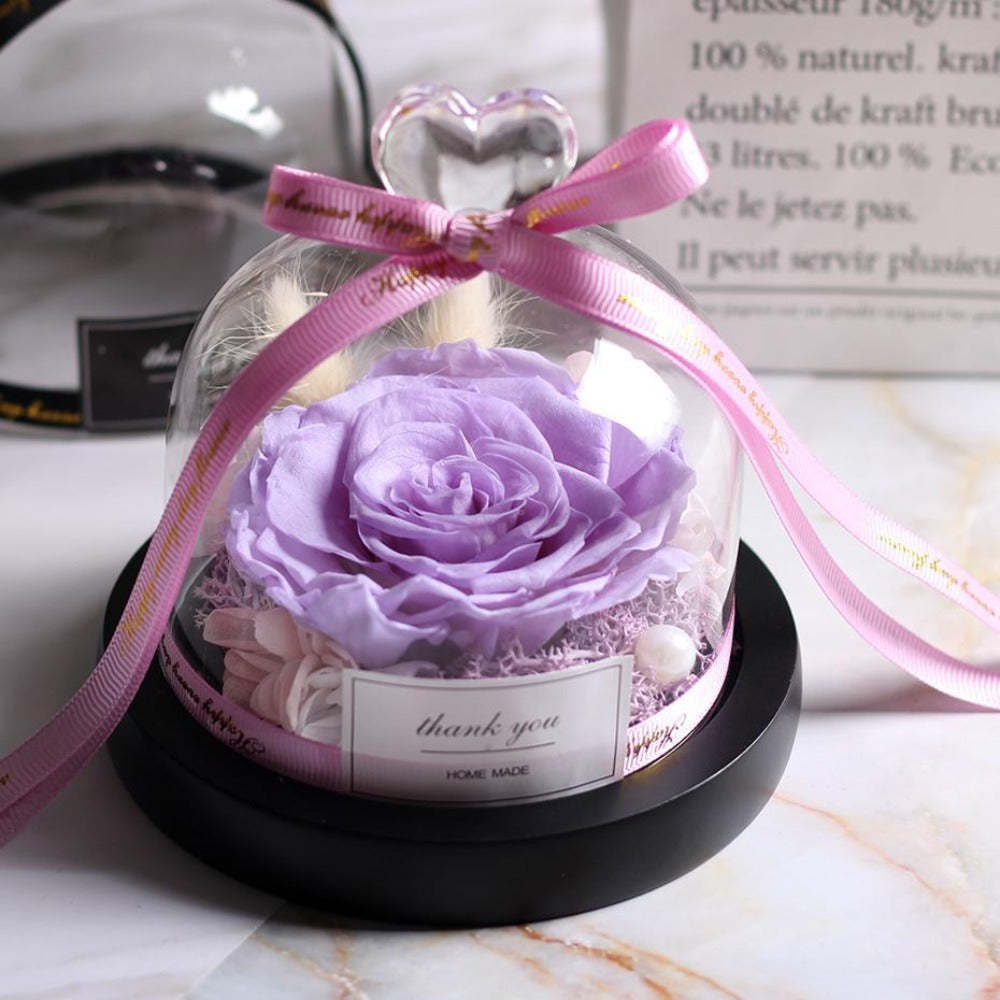 Mother's Day Gift Immortal Enchanted Rose Glass Heart Dome-xinru